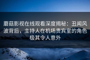 蘑菇影视在线观看深度揭秘：丑闻风波背后，主持人在机场贵宾室的角色极其令人意外