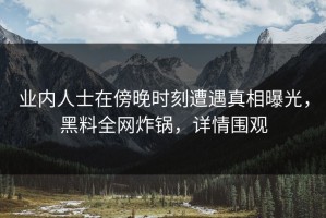 业内人士在傍晚时刻遭遇真相曝光，黑料全网炸锅，详情围观