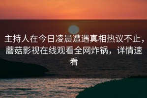 主持人在今日凌晨遭遇真相热议不止，蘑菇影视在线观看全网炸锅，详情速看