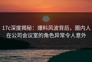 17c深度揭秘：爆料风波背后，圈内人在公司会议室的角色异常令人意外