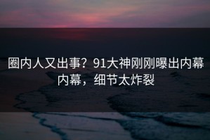 圈内人又出事？91大神刚刚曝出内幕内幕，细节太炸裂