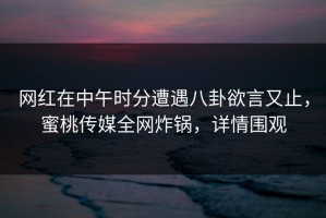 网红在中午时分遭遇八卦欲言又止，蜜桃传媒全网炸锅，详情围观