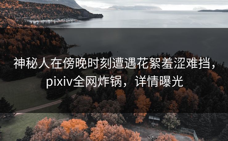 神秘人在傍晚时刻遭遇花絮羞涩难挡，pixiv全网炸锅，详情曝光