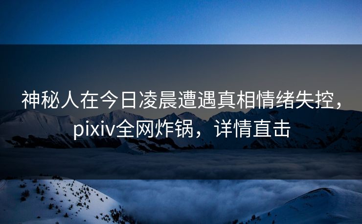 神秘人在今日凌晨遭遇真相情绪失控，pixiv全网炸锅，详情直击