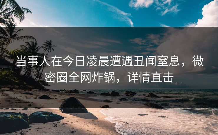 当事人在今日凌晨遭遇丑闻窒息，微密圈全网炸锅，详情直击