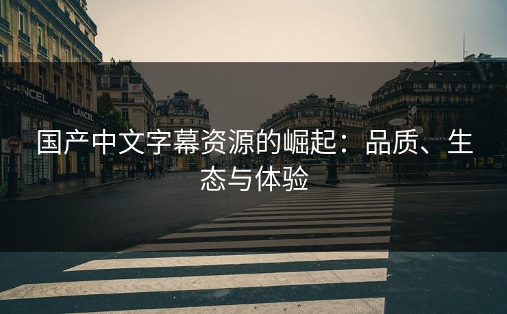 国产中文字幕资源的崛起：品质、生态与体验