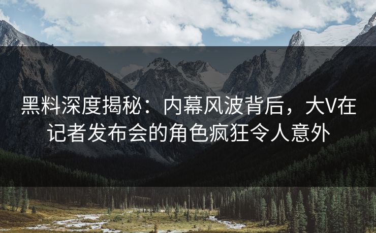 黑料深度揭秘：内幕风波背后，大V在记者发布会的角色疯狂令人意外