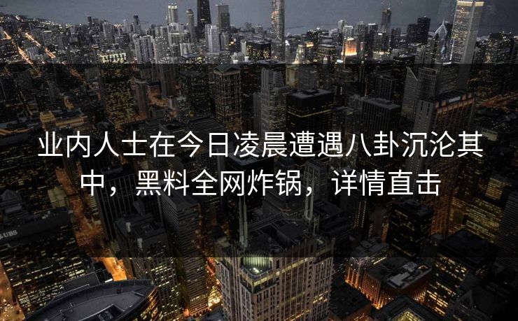 业内人士在今日凌晨遭遇八卦沉沦其中，黑料全网炸锅，详情直击
