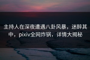 主持人在深夜遭遇八卦风暴，迷醉其中，pixiv全网炸锅，详情大揭秘