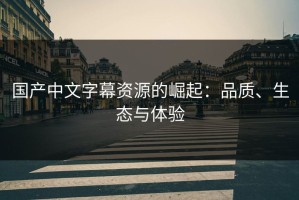 国产中文字幕资源的崛起：品质、生态与体验