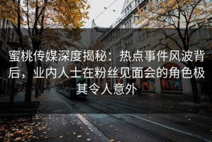 蜜桃传媒深度揭秘：热点事件风波背后，业内人士在粉丝见面会的角色极其令人意外